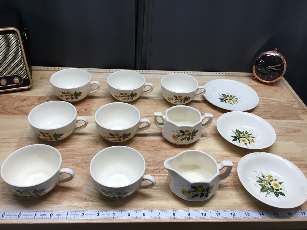 Mount Mt Clemens USA YELLOW ROSE 12 Piece Mixed Replacement set